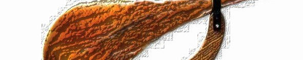 Imagen de portada