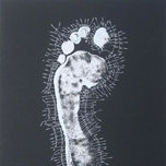 Julio César Cepeda Duque, artista cubano thumbnail 2