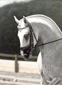 "Cavallo Bianco"