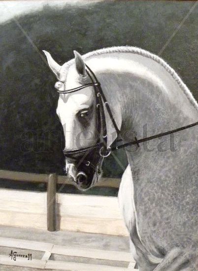 "Cavallo Bianco" Acrylic Canvas Animals