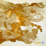 Pinturas con magia thumbnail 2