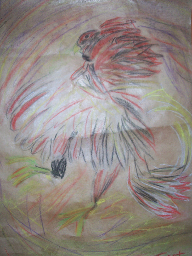 gallo de pelea