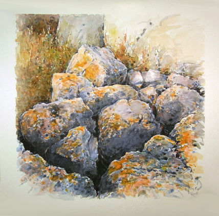 Rocas y líquen,...