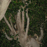 instantes thumbnail 1