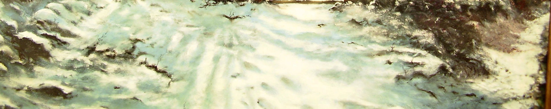 Imagen de portada
