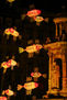 peces de Lyon 2