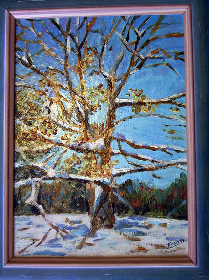 Arbol Nevado