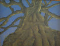 Arbol en perpectiva