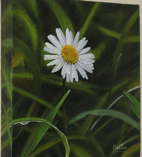 Margarita Oil Canvas Landscaping