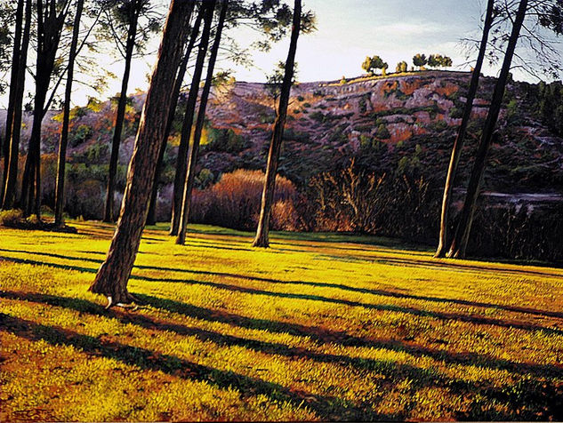 Ruidera en primavera Óleo Tabla Paisaje