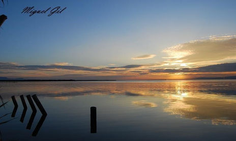 la Albufera