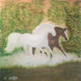 caballos