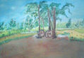 campo