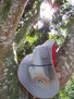 foto 32