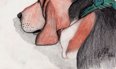 dibujos rápidos