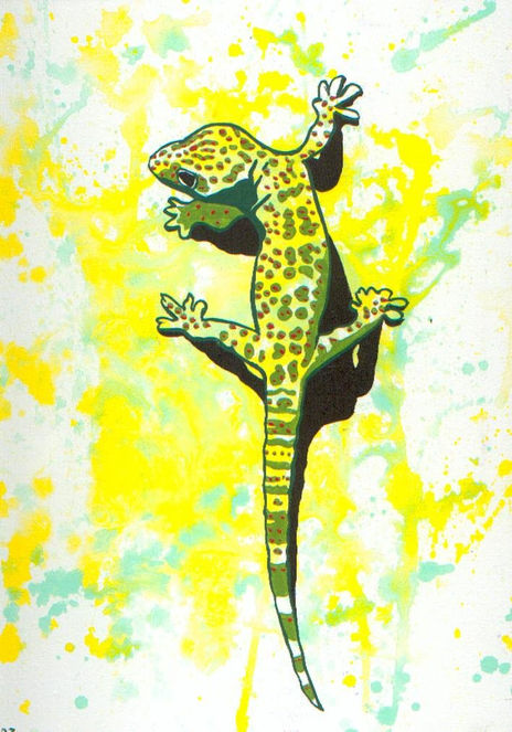 Salamandra III