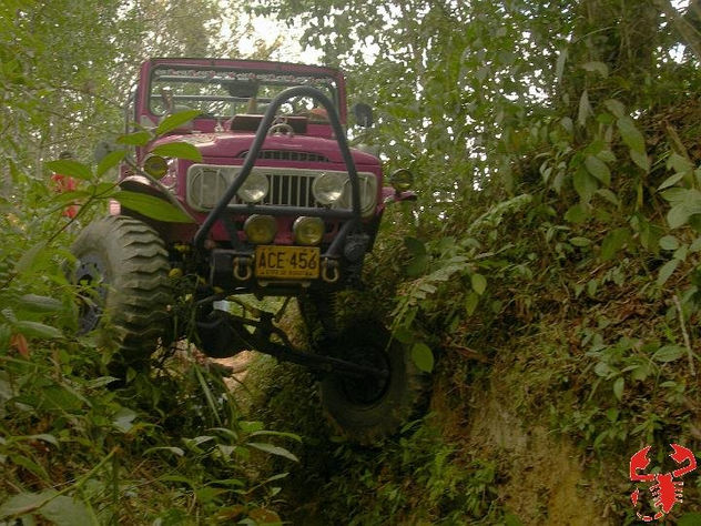 Toyosaurio dejando huella