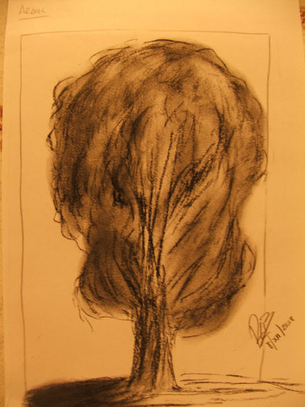 Un Arbol