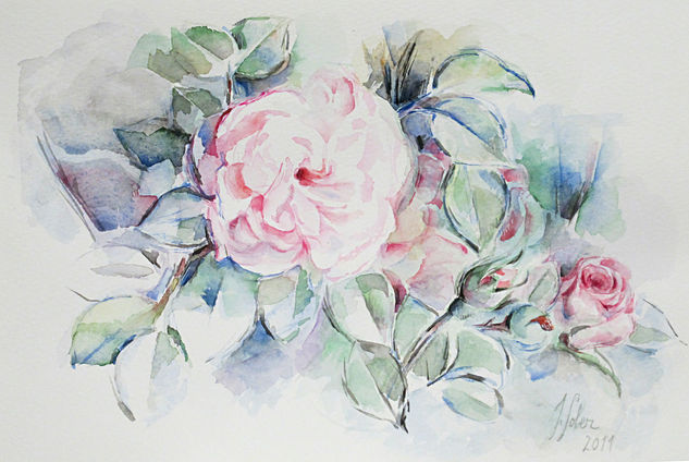 Rosa abierta Watercolour Paper Floral Painting