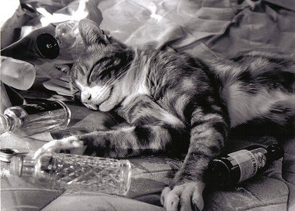 Serie: Vicios