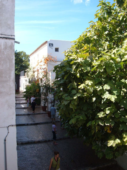 Dal´t Vila