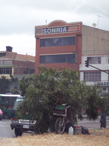 Construcciones 13...