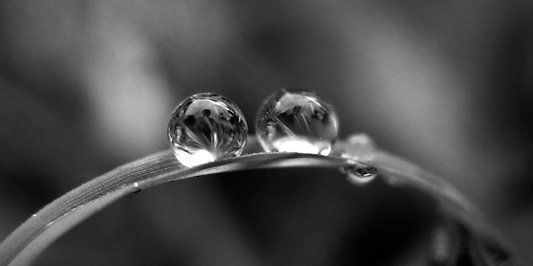 Como dos gotas de agua 