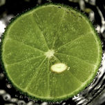 MACRO thumbnail 1