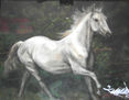 Caballo blanco