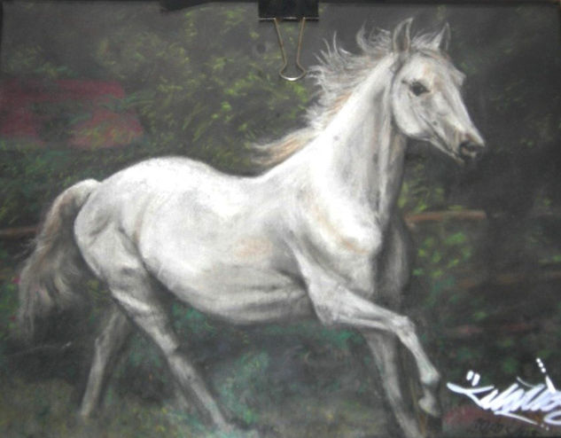 Caballo blanco 