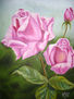 rosas