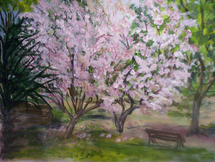 Primavera