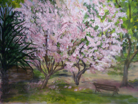 Primavera