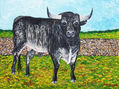 Toro Miura Càrdeno en el campo, óleo 35X40, año 2008.