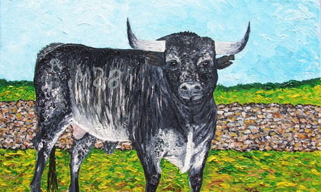 Toro Miura Càrdeno