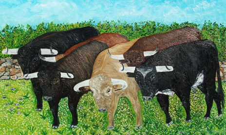 Seis toros en un cercado