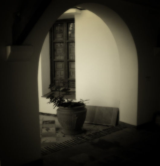 Arcos Architecture and Interiorism Black and White (Digital)