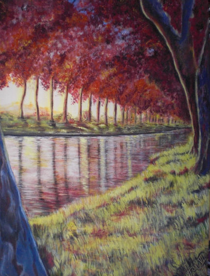 Canal del midi