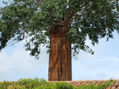 CHIMENEA DE LA HACIENDA LA VALDIVIANA