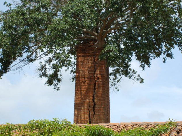 CHIMENEA DE LA HACIENDA LA VALDIVIANA
