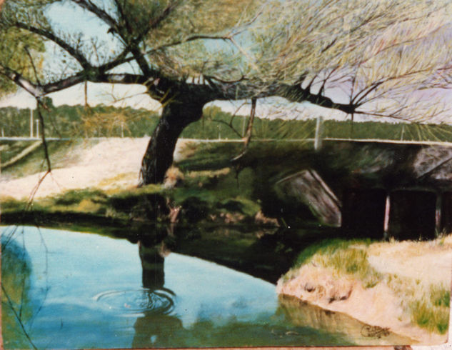 PAISAJE YOUNGUENSE Oil Panel Landscaping