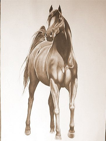 EL PADRILLO