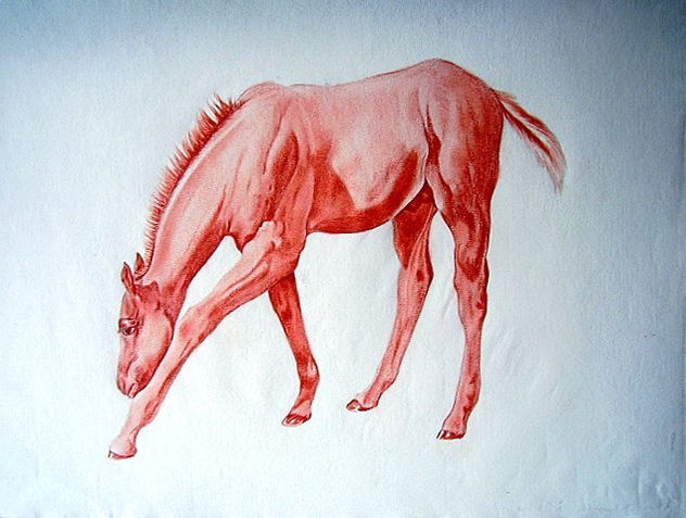 EL POTRILLO