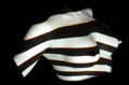 busto