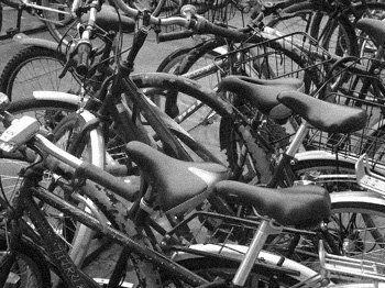 Bicycles Otras temáticas Blanco y Negro (Digital)