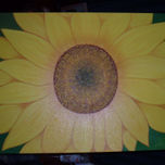 Flores thumbnail 2