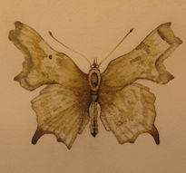 Mariposa I