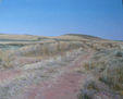 camino