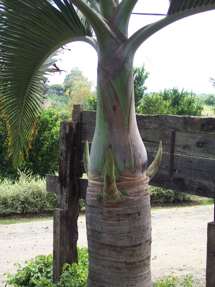 16 - vegetación