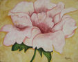 flor rosa  Mayra Ramirez